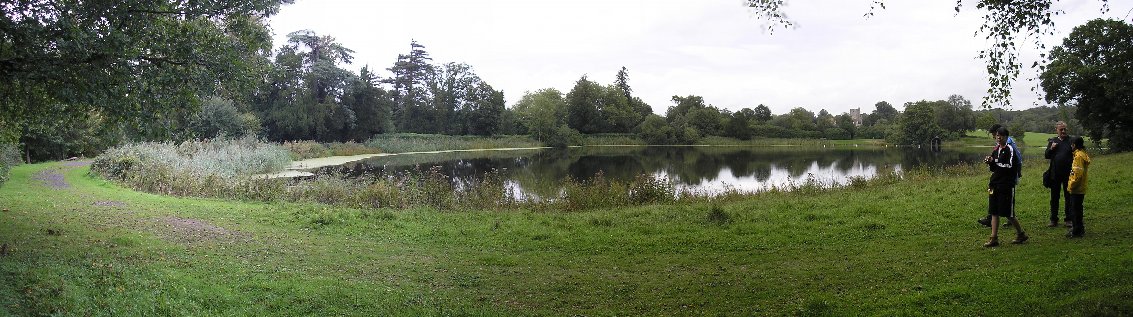 View from the bank of the lake.