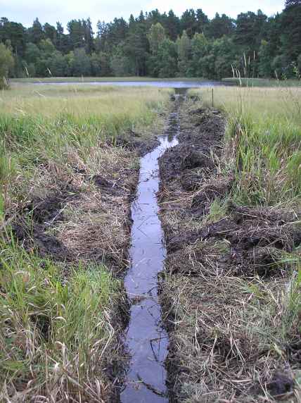 Photo of a narrow ditch from the edge oth the lake, through the marshy ground to the open water.