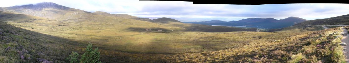 Panorama of mountain heather.